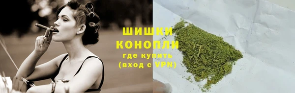 гашик Струнино
