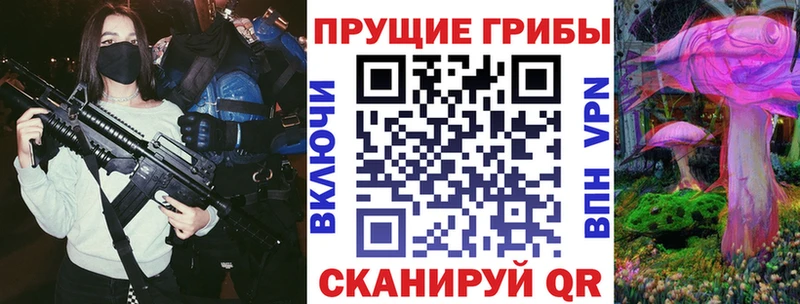 Галлюциногенные грибы Psilocybine cubensis  Черняховск 